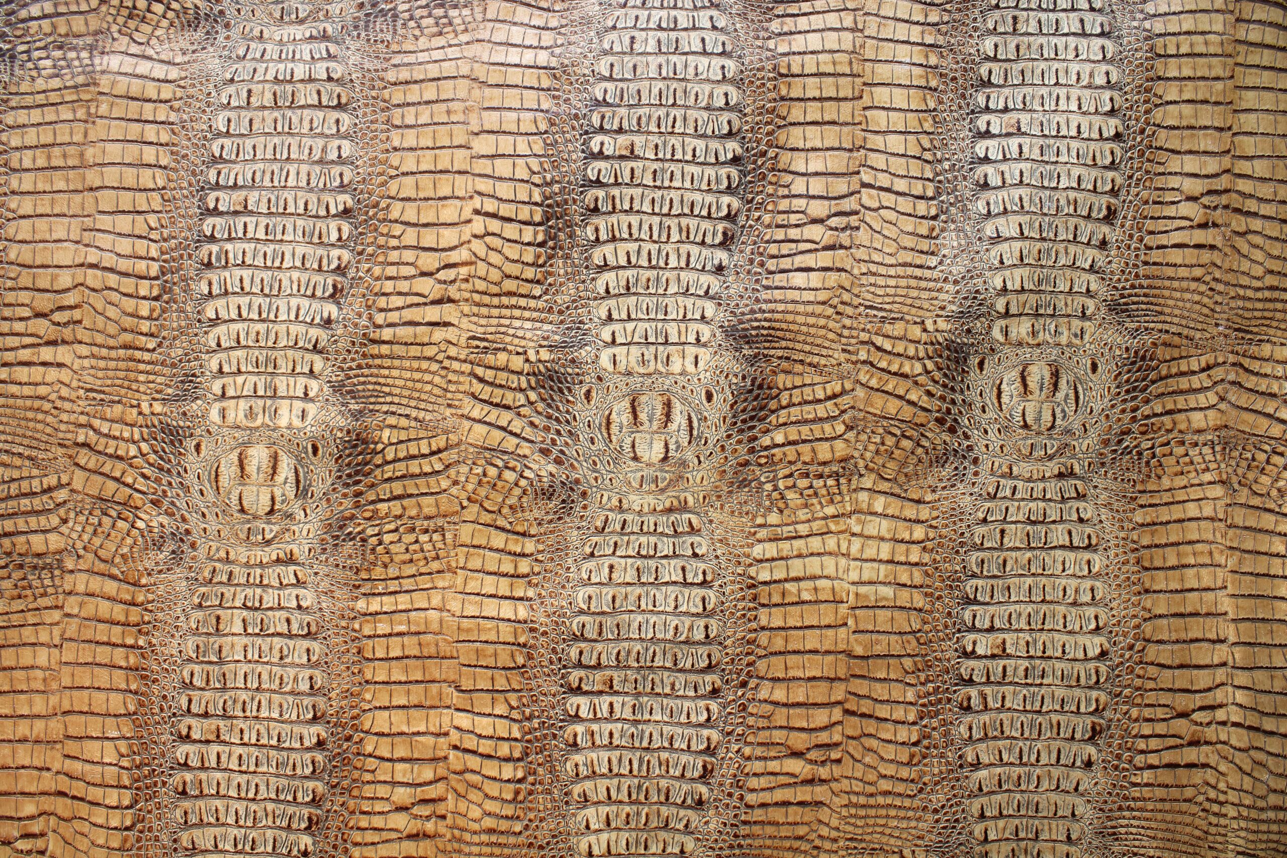 Cocco Frank alligator imitation embossed on calf leather color roccia seppia Cocco Enny style - Image 2