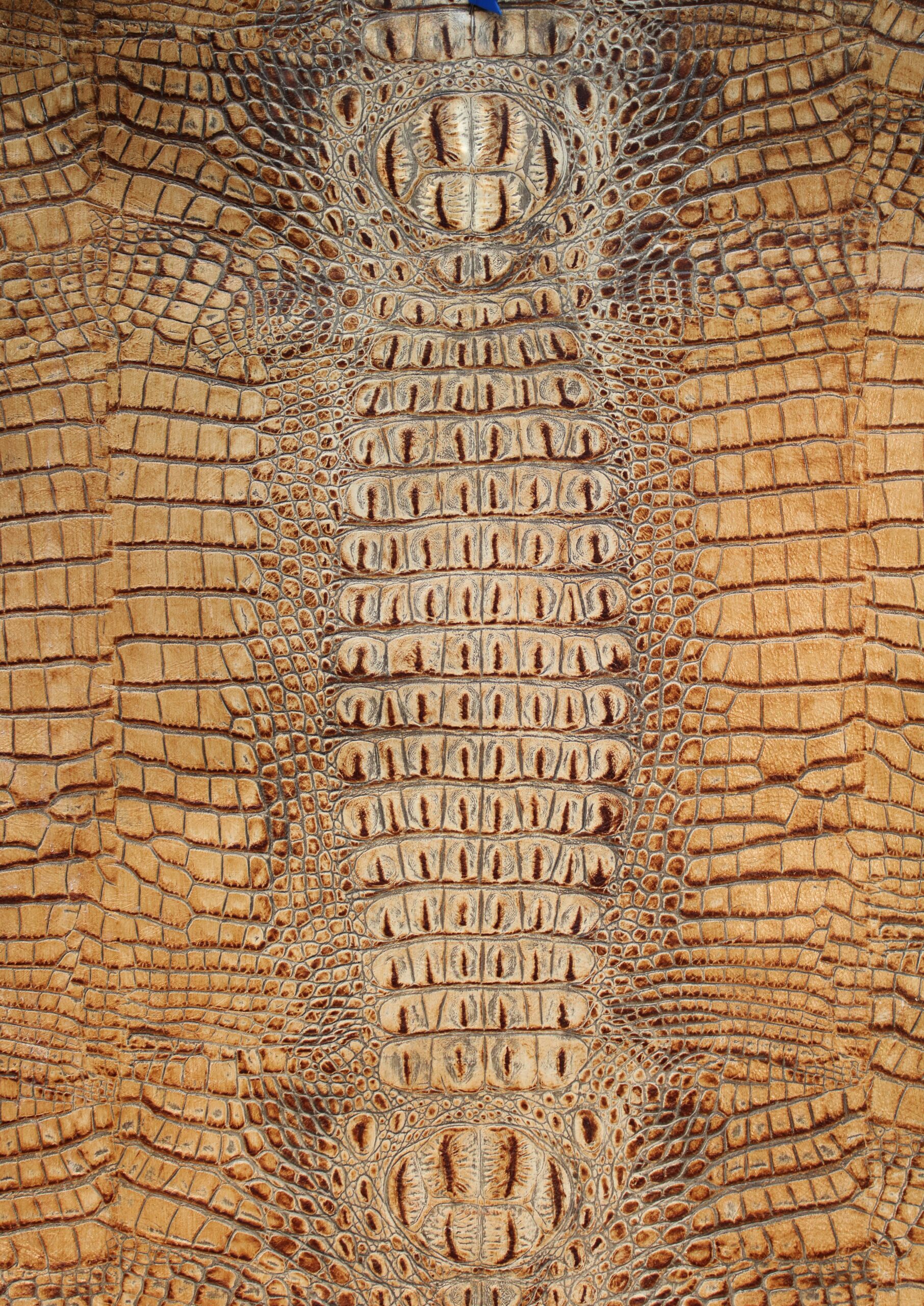 Cocco Frank alligator imitation embossed on calf leather color roccia seppia Cocco Enny style - Image 3