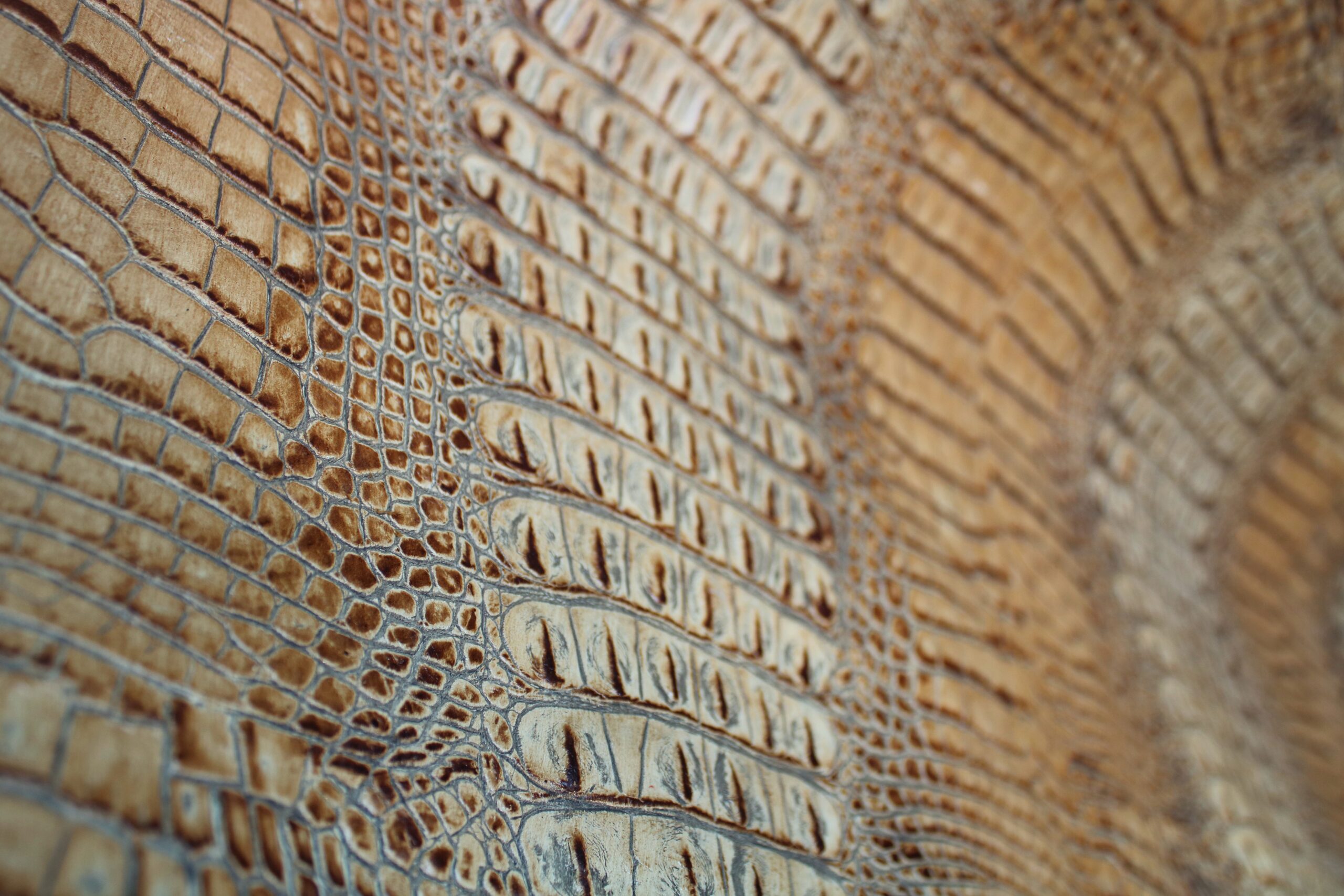 Cocco Frank alligator imitation embossed on calf leather color roccia seppia Cocco Enny style - Image 4