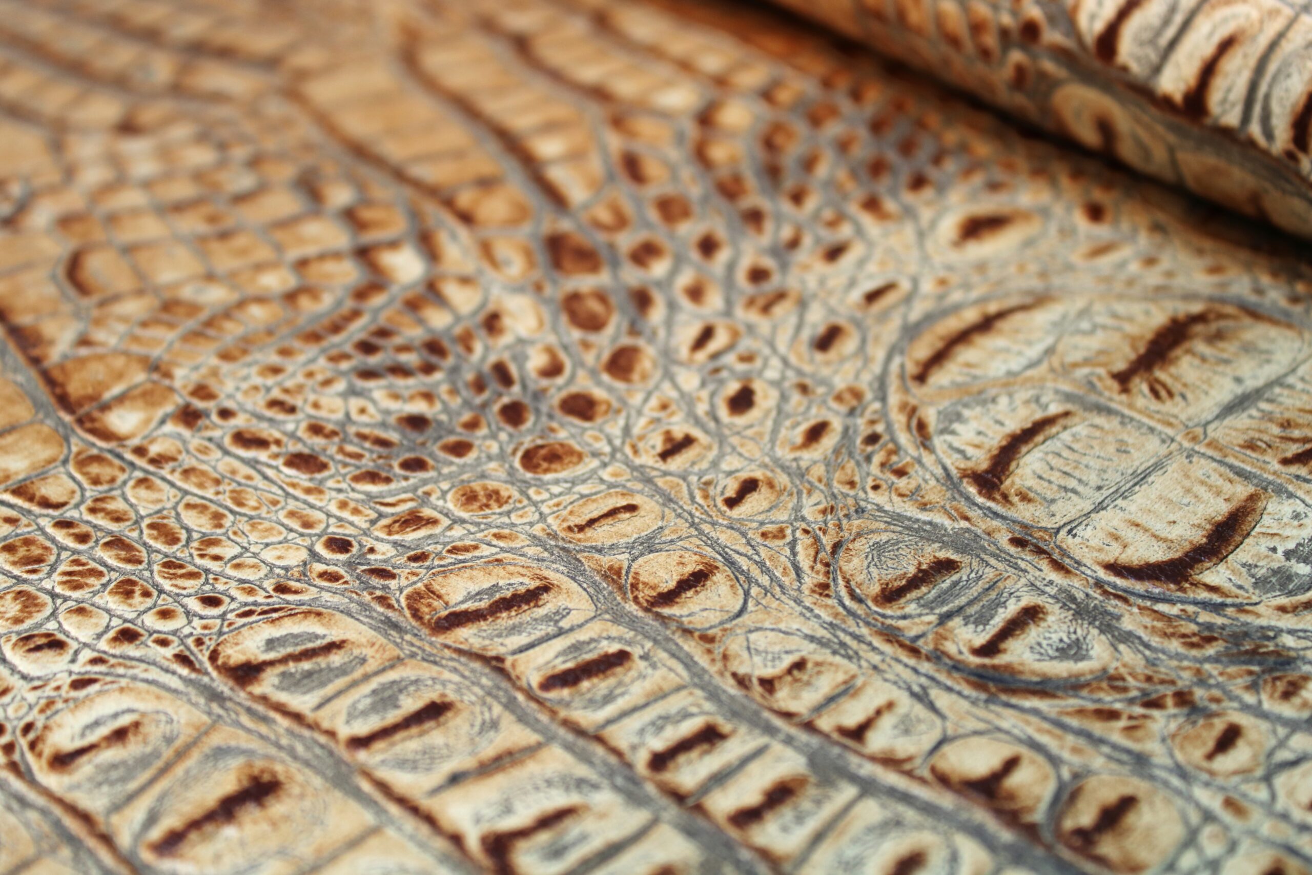 Cocco Frank alligator imitation embossed on calf leather color roccia seppia Cocco Enny style - Image 7