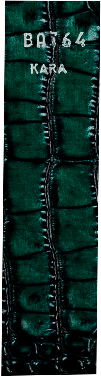 PANAMA METAL - immagine 19