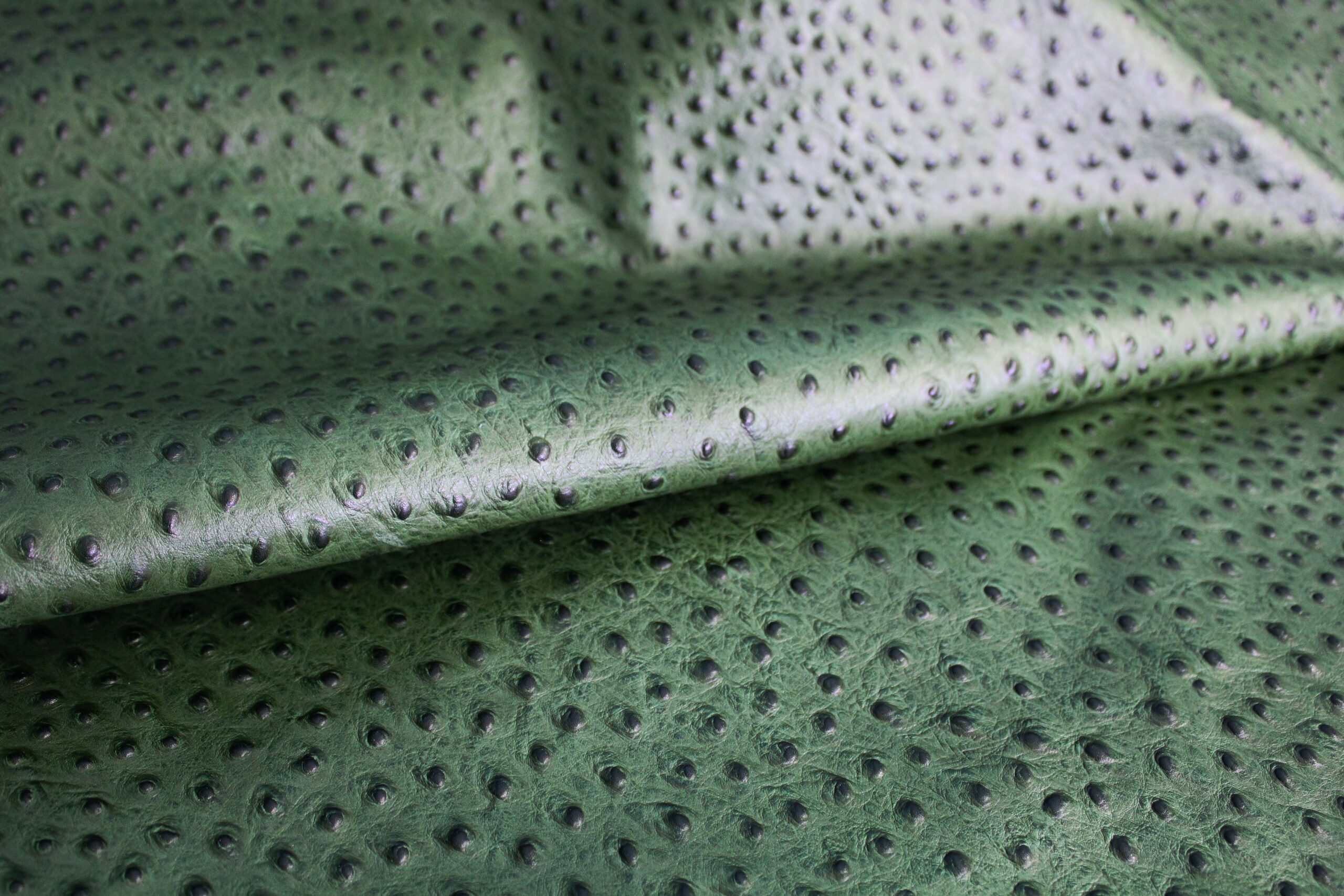 ostrich full quill embossed on calf leather
