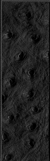 ostrich full quill embossed on calf leather - immagine 2