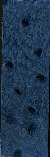 ostrich full quill embossed on calf leather - immagine 6