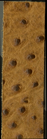 ostrich full quill embossed on calf leather - immagine 5