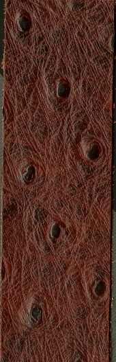 ostrich full quill embossed on calf leather - immagine 3